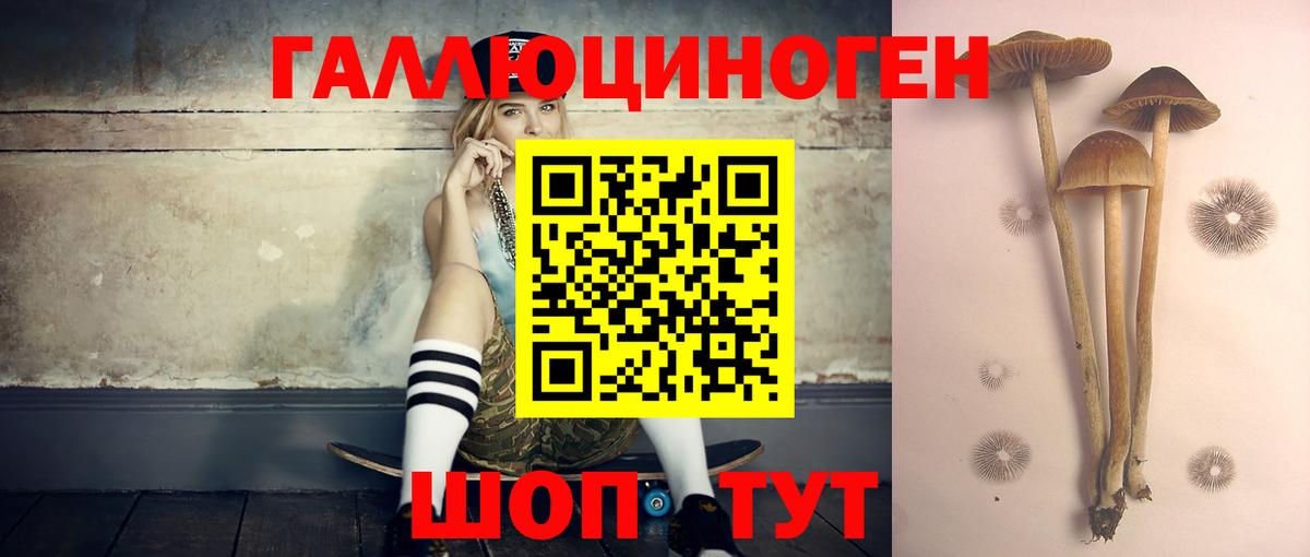 Можайск  Галлюциногенные грибы Psilocybe  Галлюциногенные грибы ЛСД  Вход с VPN 