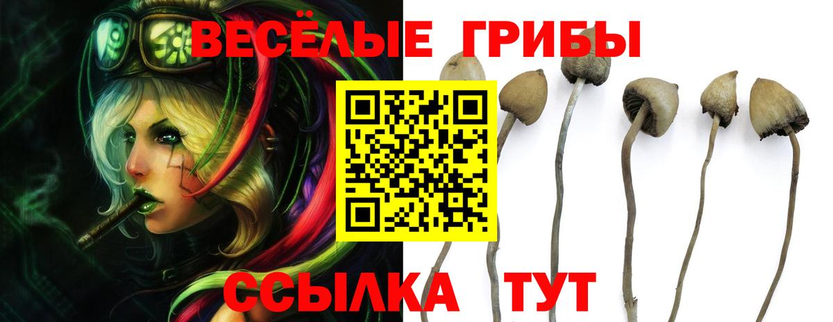 Галлюциногенные грибы мухоморы Можайск
